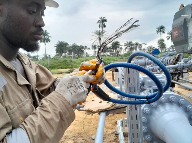 tavak integrated media (16)