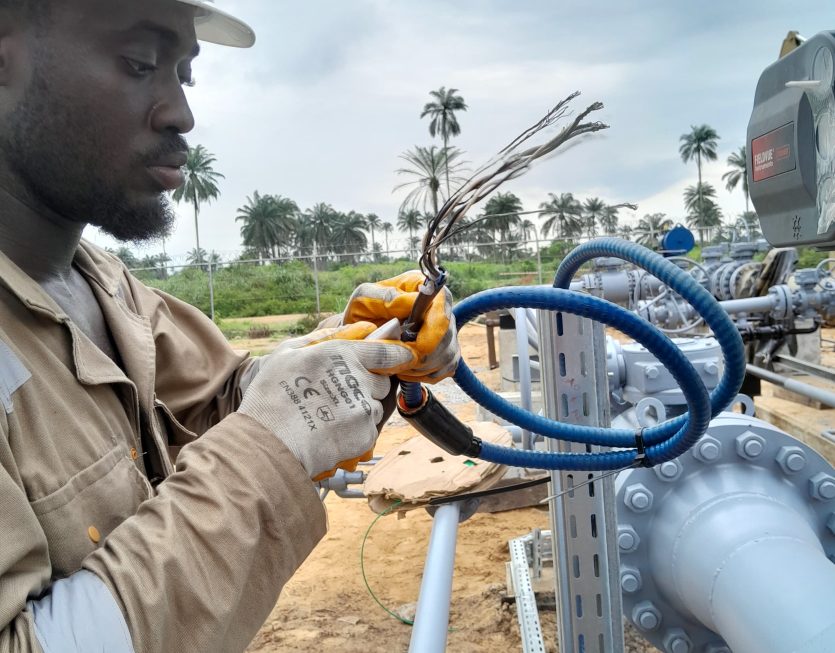 tavak integrated media (16)